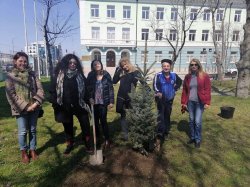 Засадихме сребърен смърч в двора на ИУ – Варна, 27 март 2021 г.