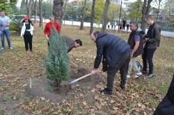 Засадиха дърво послучай 60-годишнината от основаването на Колежа по туризъм – Варна 

