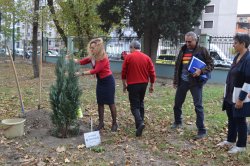 Засадиха дърво послучай 60-годишнината от основаването на Колежа по туризъм – Варна 

