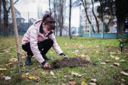 Малки стъпки към голямата кауза ИУ – Варна „зелен университет“