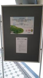 Научен форум, посветен на устойчивото потребление на градовете, се проведе в Икономически университет – Варна